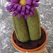 Cactus in feltro con fiore viola