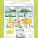 MISS XSTITCH FLOWERS COLLECTION N. 1  