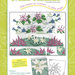 MISS XSTITCH FLOWERS COLLECTION N. 4