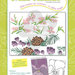 MISS XSTITCH FLOWERS COLLECTION N. 5