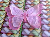 Farfalla 3D rosa o azzurra