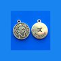 Pendente charms oroscopo,"gemini" (gemelli)