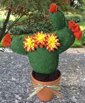 cactus fico d'india in vaso di terracotta
