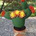 cactus fico d'india in vaso di terracotta