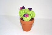 Cactus uncinetto fiori fucsia e viola