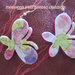 Orecchini farfalla in feltro decorato 