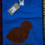 T-shirt 100% Organic PULCINO - Blu unisex (Taglia S) 