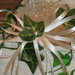 coni riso confettata decorati a mano con foglie di edera