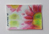 Aceo n. 4 matite colorate