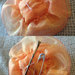 Rosa arancione fermaglio capelli - spilla in organza