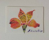 Aceo n. 16 - floreale