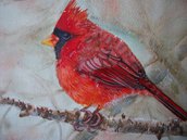 Uccello Cardinale rosso acquerello su carta, dipinto originale