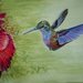 Uccelli del paradiso, colibrì, acquerello su carta preparata con lo sfondo acrilico, dipinto originale