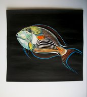 Pesce Chirurgo Zebrato tempera su carta preparata con lo sfondo acrilico, dipinto originale