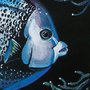 Pesce Angelo tempera su carta preparata con lo sfondo acrilico, dipinto originale