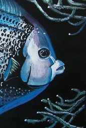 Pesce Angelo tempera su carta preparata con lo sfondo acrilico, dipinto originale