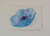 Aceo n. 24 - fiore turchese