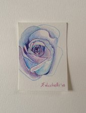 Aceo n. 25 - rosa blu