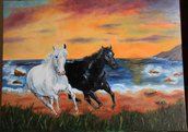 cavalli al tramonto