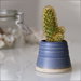 Mini vasetto per succulente