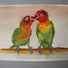 Uccelli pappagalli acquerello su carta, dipinto originale