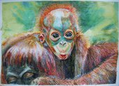cucciolo orango acquerello, dipinto originale, arte 