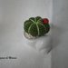 Tris Mini cactus uncinetto amigurumi