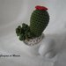 Tris Mini cactus uncinetto amigurumi