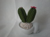 mini cactus uncinetto