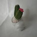 mini cactus uncinetto