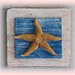 Quadretto decorativo con stella di mare