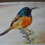 Uccello Colibrì acquerello, dipinto originale /Bird hummingbird watercolor, original painting