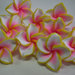 10 Perline Fiori Hawaiani 