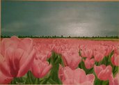 Campo di tulipani 