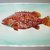 pesce cernia, acquerello, dipinto originale / grouper fish, watercolor, original painting