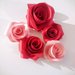 Rose di carta, segnaposto, decorazione, fiori, bouquet