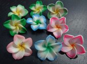 9 Perline Fiori Hawaiani 