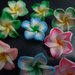 9 Perline Fiori Hawaiani 