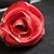 Rosa di nastro, spilla - Ribbon brooch rose
