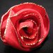 Rosa di nastro, spilla - Ribbon brooch rose