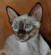 Ritratto gatto siamese pastelli e acrilico su cartoncino