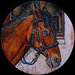 Quadro cavallo olio su tavola equitazione dipinto a mano
