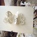 partecipazione white butterfly avorio panna 