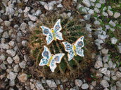 Farfalline in ceramica
