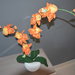 Orchidea arancio in vaso due rami fatta a mano