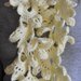 Sciarpa in lana motivo floreale