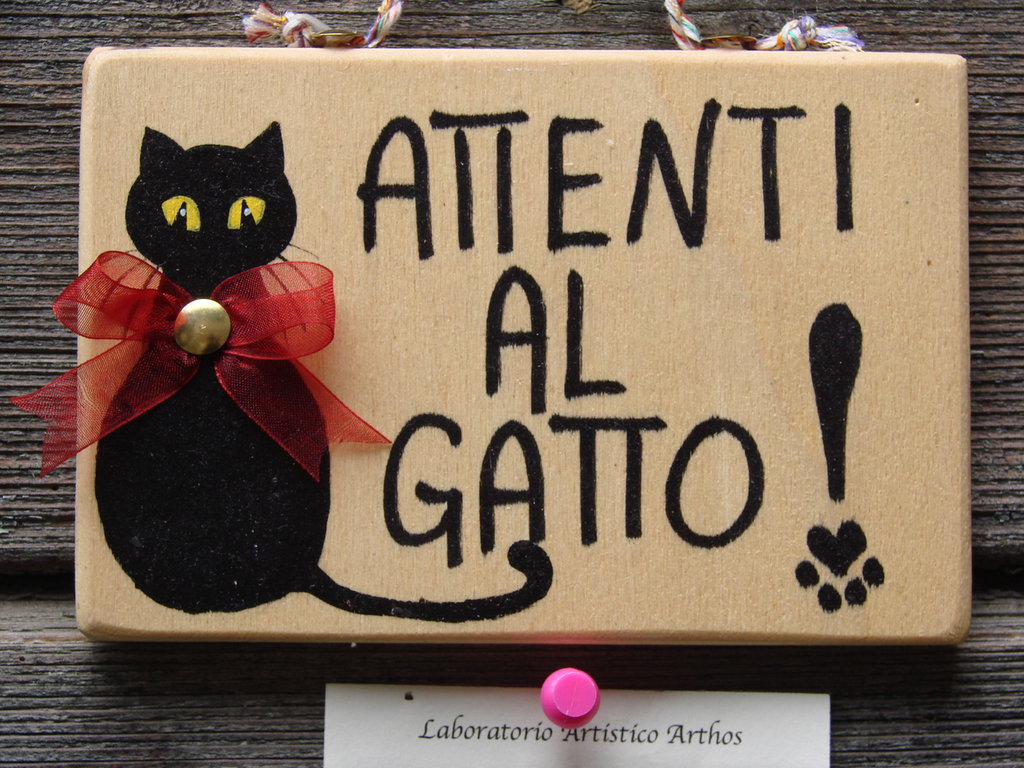 Targa Gatto kung-fu - Al di là dello specchio