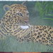 Quadro Leopardo dipinto a mano