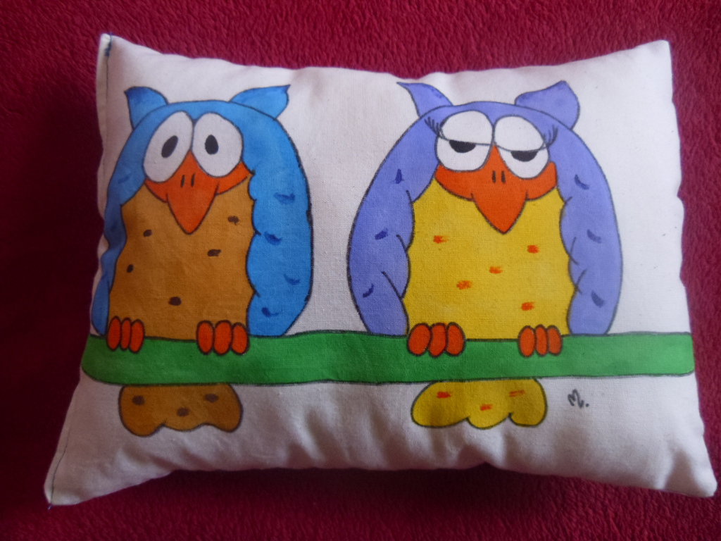 Design91 Federe Per Cuscino 40x40 Cm Con Stampe Di Gufi, Set Da 2, Decorative Per Cameretta Bambini, Multicolore