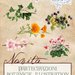 partecipazioni edizione speciale grafica fatta da me !! linea Botanical Illustration